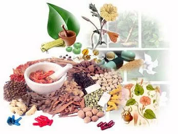 ayurvedic medicine - natural herbs and therapy