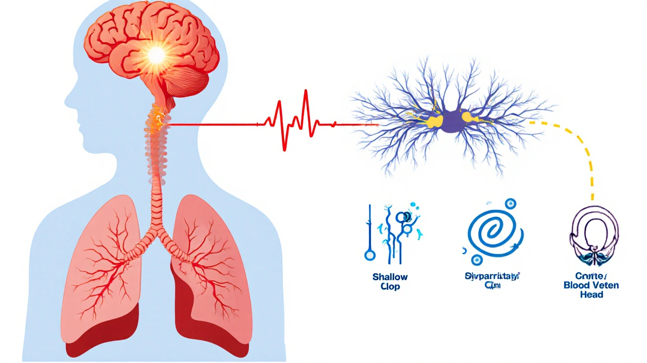 Medical illustration showing brain signals, nervous system, lungs, and low CO2 effects.